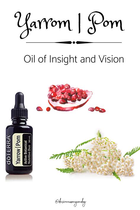 Experience The Power Of Yarrow Pom Essential Oil