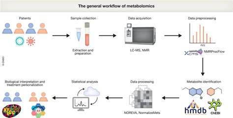 Metabolomics Meets Systems Immunology EMBO Reports