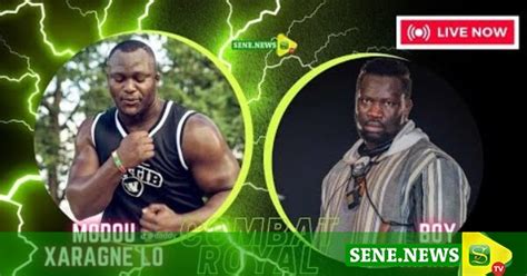 Vivez en Direct le combat Modou Lo vs Boy Niang 2 Arène nationale