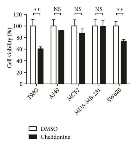 Chelidonine Induces Apoptosis In Human Glioblastoma T98g Cell Line