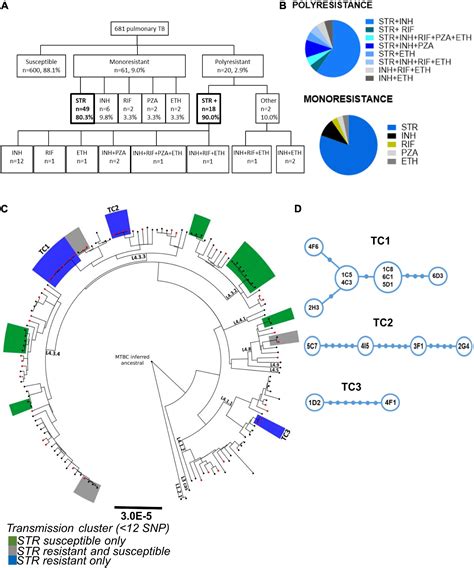 Frontiers Heterogeneous Streptomycin Resistance Level Among