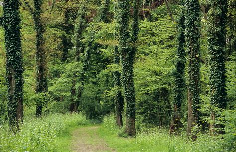 De Economie Werkt Tegen De Natuur Hoe Viezer Het Water Hoe Hoger Het