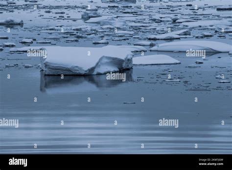 The Ice Feilds And Icebergs Flowing In The Antarcatica Ocean With