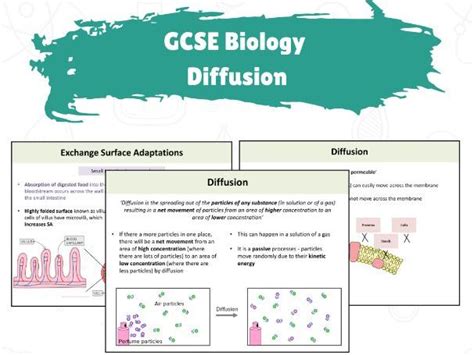 Gcse Biology Diffusion Teaching Resources