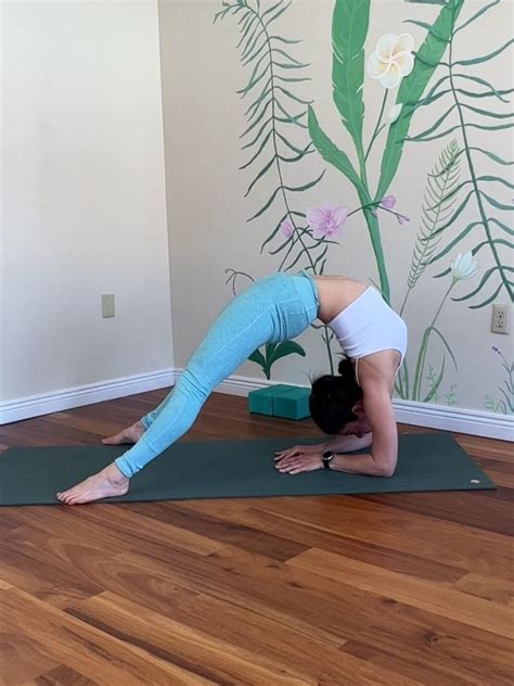 How To Do Kapotasana A Progression Leigha Butler Yoga Blog