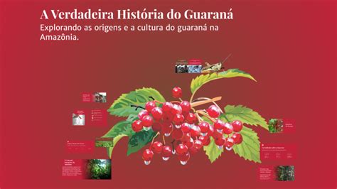 História Da Fruta Guaraná - A Verdadeira História do Guaraná by isabella perera da silva on Prezi