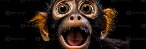 Surprised Monkey 46786433 Stock Photo At Vecteezy