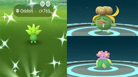 Pokemon Go Shiny Oddish Evolutions - img-wut