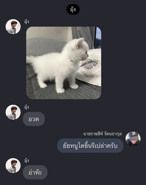 me ⁷⁷ on Twitter เหย แกนรอแบบ หแสสแววดววดวดว