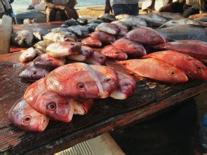 Os melhores pratos típicos da Culinária Angolana