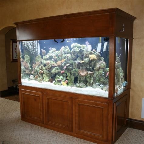 Gallon Living Reef Marine Aquarium Aquarium Maintenance Las Vegas