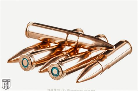 Sellier And Bellot Blackout Subsonic Ammo Review Sbr Ready