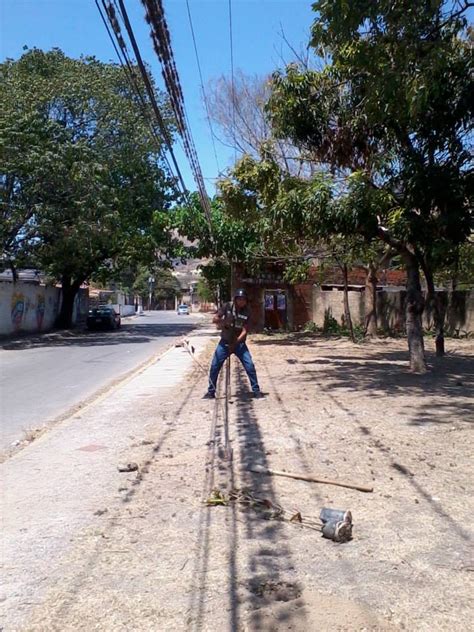 Fundaci N Eco Mundo Siembra De Arboles El Consejo