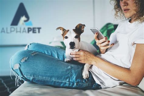 Alphapet Ventures Digitalization Of The Pet Market Venture Stars