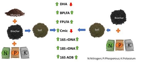 Agronomy Free Full Text Long Term Effects Of Biochar Based Organic