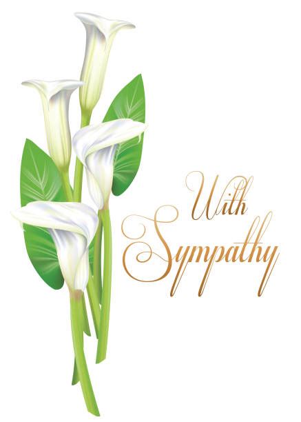 490 Sympathy Flower Background Stock Illustrations Royalty Free