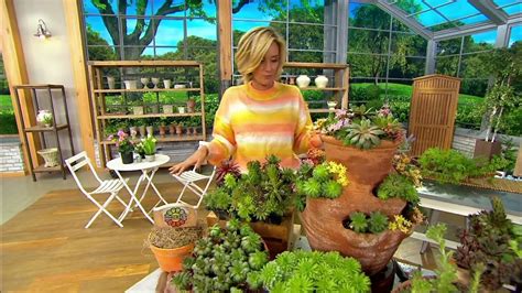 Robertas 6 Piece Hardy Hens And Chicks Sempervivums Live Plants On Qvc