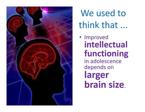 Solution Understanding The Adolescent Brain Studypool