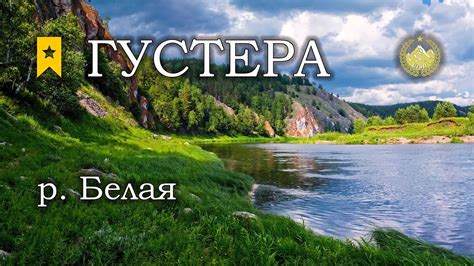 р. Белая Густера Русская рыбалка 4 - YouTube