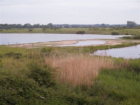 Reflections At North Cave Wetlands East Yorkshire England Stock Photo