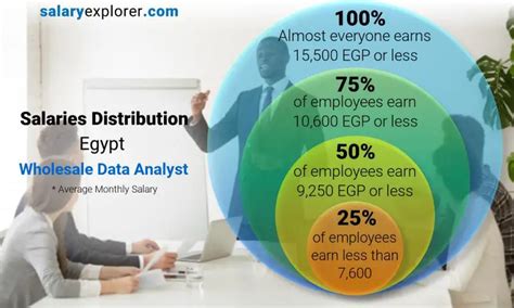 Wholesale Data Analyst Average Salary In Egypt 2023 The Complete Guide