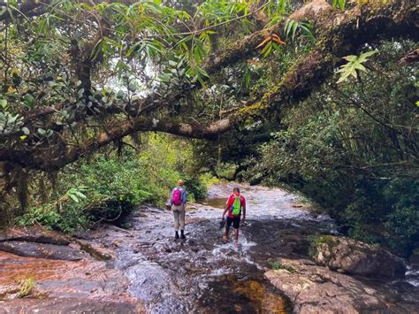 Exploring Knuckles Hiking The Hidden Gem Of Sri Lanka