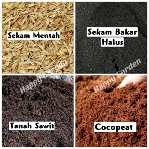 Sekam Padi Mentah Sekam Bakar Tanah Sawit Cocopeat Burnt Paddy Husk