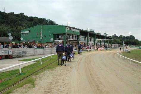 FOCUS: NOTTINGHAM - Greyhound Star | News from the Greyhound Industry