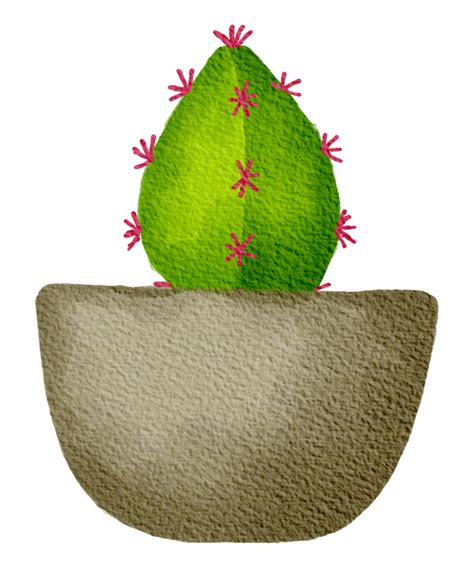 Cactus Suculento Planta Acuarela Png