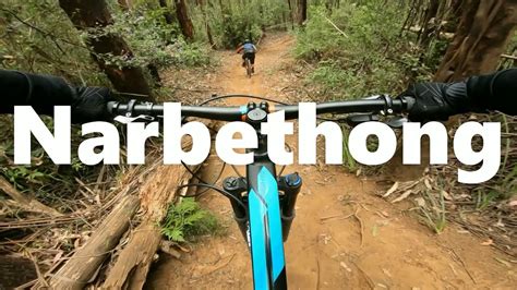 Narbethong Downhill Track Ride Day Dec 2021 Youtube