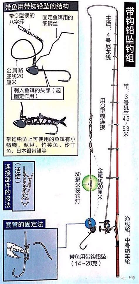 上鉤課堂：如何釣帶魚 每日頭條