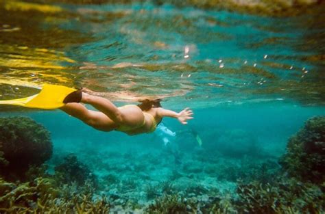 The BEST Snorkeling Gear For Beginners - Live A Wilder Life