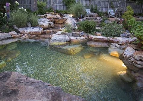 Natural Swimming Ponds Aqualivin