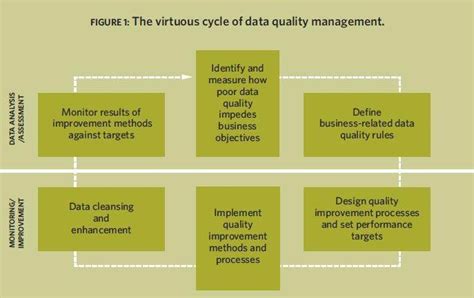 Buyers Guide Choosing Data Quality Tools And Software