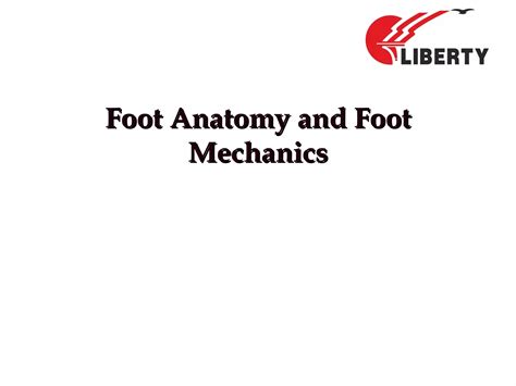 Basic Foot Anatomy and Foot Mechanics | PPT
