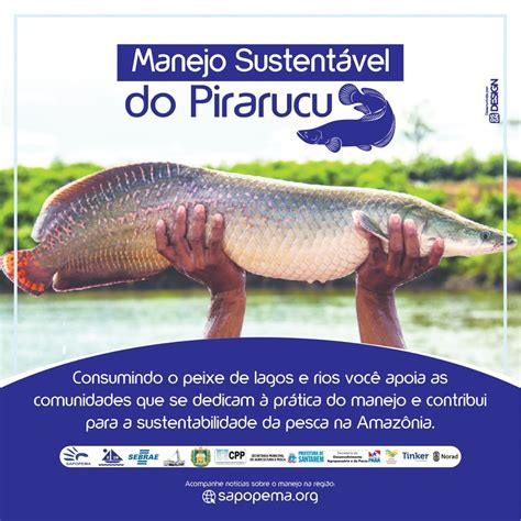 2ª Feira do Pirarucu de Manejo do Pará será realizada em novembro em