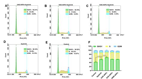 Effects Of Single Or Combined Treatments On The Cell Cycle Of Sgc 7901