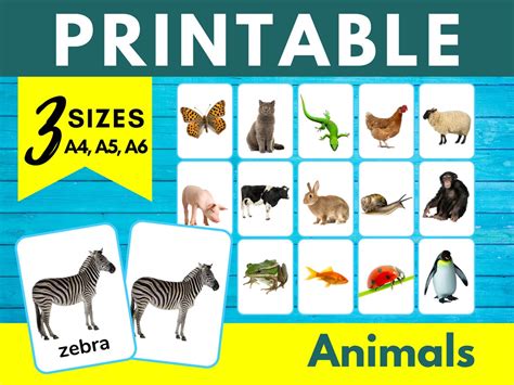 ANIMALS Flashcards Printable Cards Speech Therapy Speech Pathology ...