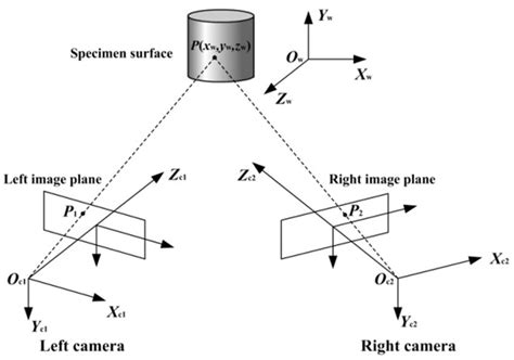 Schematic Diagram Of The Binocular Stereo Vision Download Scientific