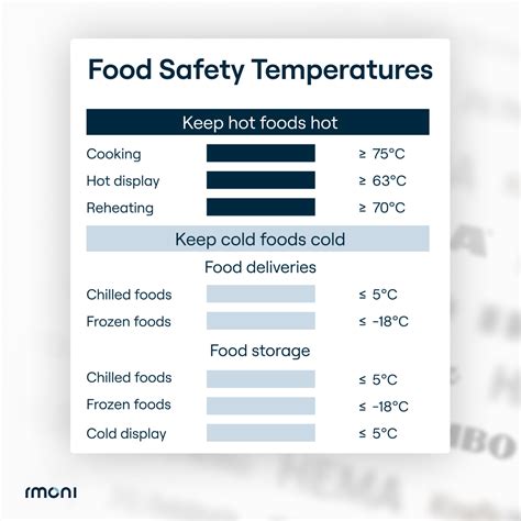 How To Use Temperature Measuring Devices In The Food Industry Rmoni