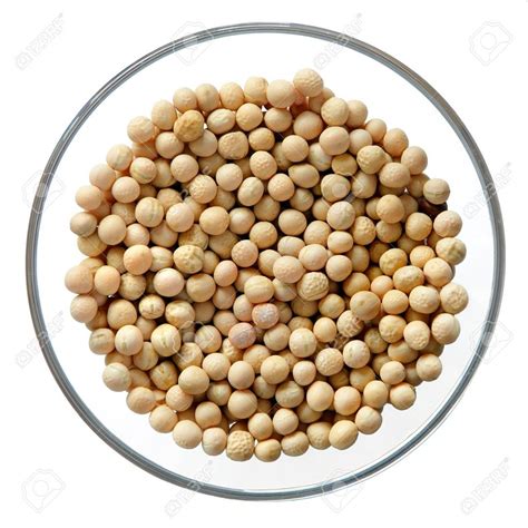 White Pea Beans At Rs 90kilogram White Pea Beans In Pondicherry Id