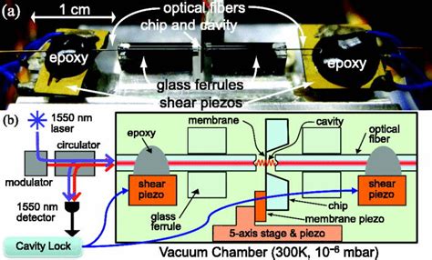 A Photograph And B Diagram Of Our Experimental Setup This