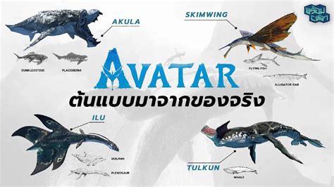 หรอสตวนำใน Avatar 2 จะมทมาจากชวตจรง ไมมสปอลย YouTube