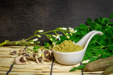 Moringa Wirkungen Anwendungen Des Wunderbaums Gesundfit De