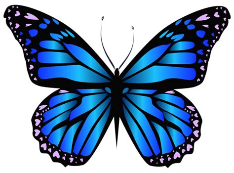 Purple Butterfly Png Clipart 20 Free Cliparts Download Images On