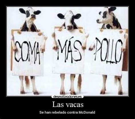 Las Vacas Desmotivaciones