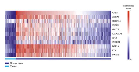 Gene Expression Levels Of The 11 Hub Genes In Normal Tissues And LUADs