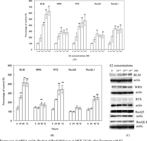 Figure 1 From Effects Of Estrogenic Agents 17β Estradiol E2 And