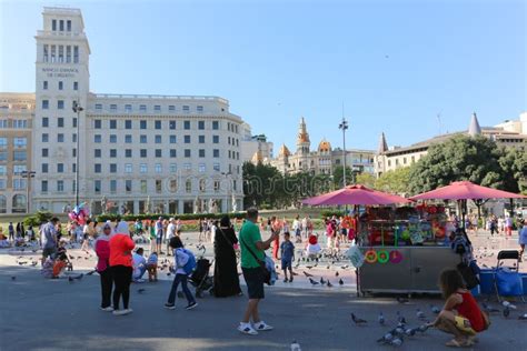 Pigeons in Barcelona editorial image. Image of europe - 45303470