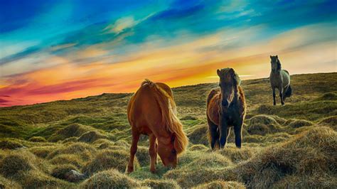 🔥 [20+] Horse Landscape Wallpapers | WallpaperSafari